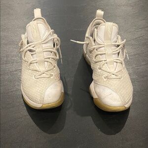 Nike LeBron James basketball shoe “Just a Kid From Akron”